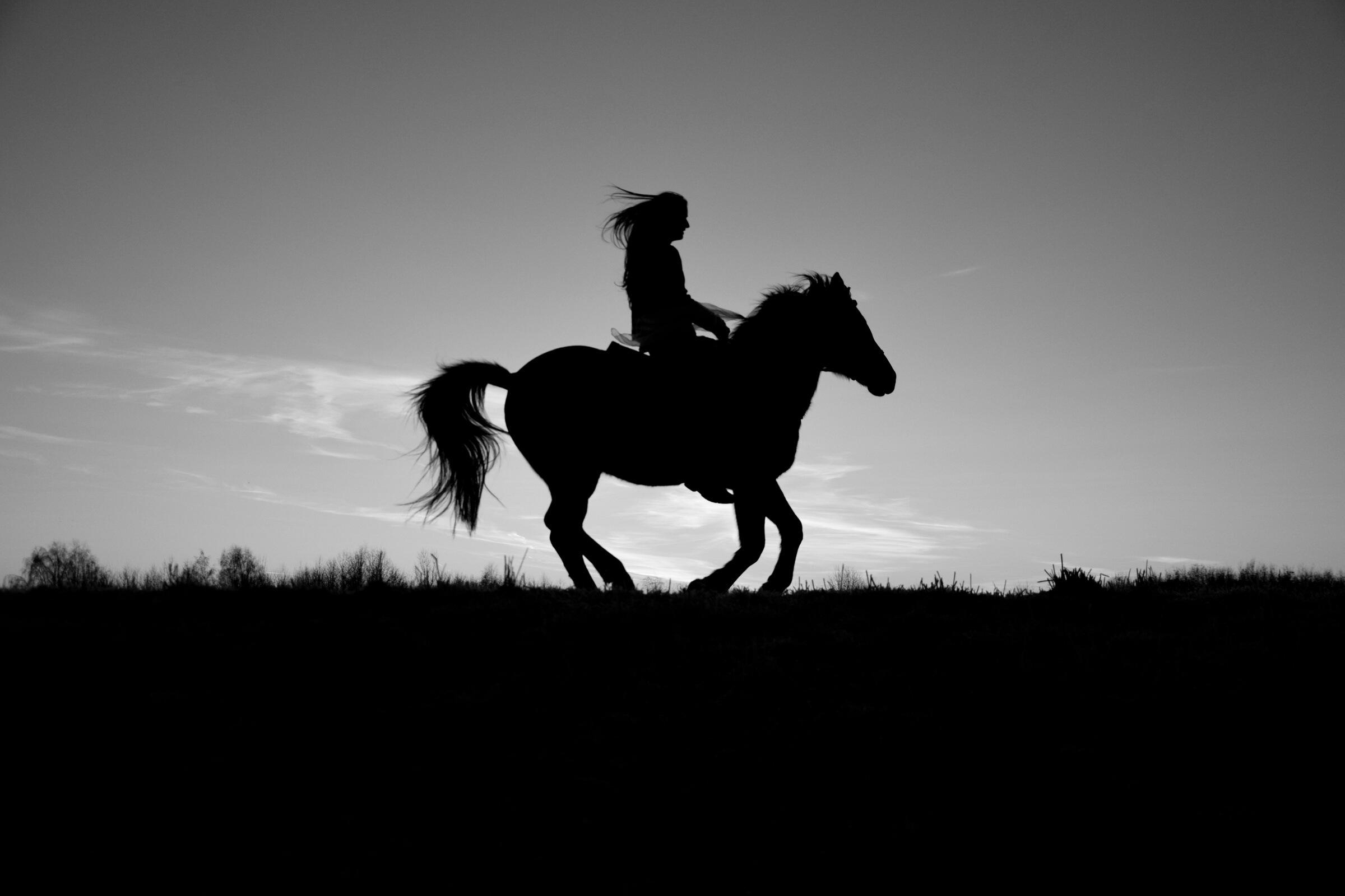 A Woman and A Horse