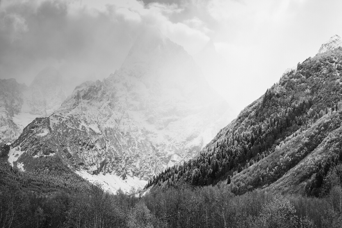 Nature Photography